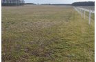 Property photo 18 - 98+/- Acres Offered in 6 Tracts or Combinations, Noble County, Indiana Farm
